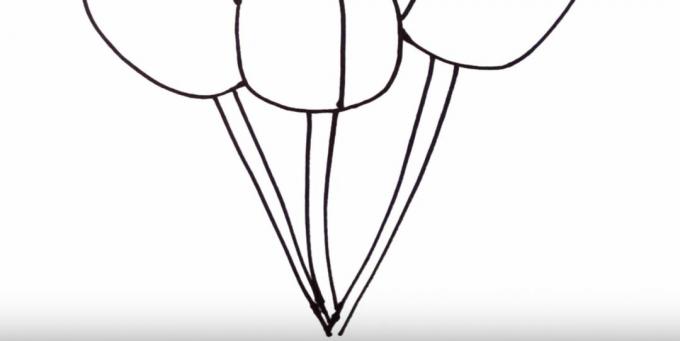 Hoe een tulp te tekenen: teken de stelen