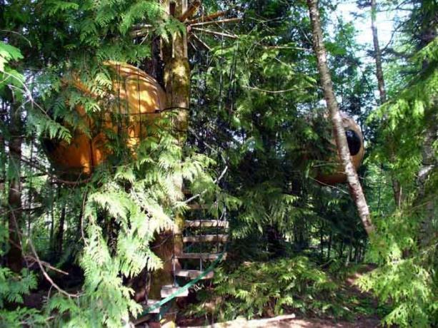 Treehouse, die kunnen worden geboekt