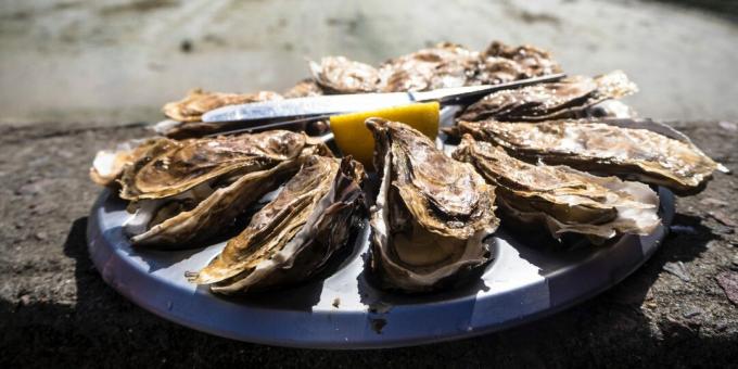 Schadelijk voedsel: oesters