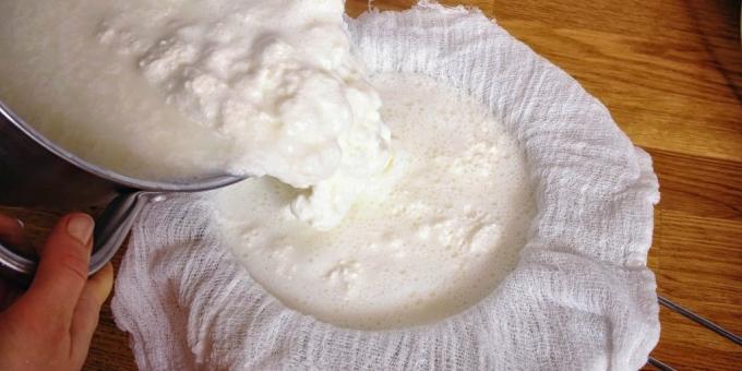 Hoe de kaas kok: veel spanning door middel van een schone gaas en mesh