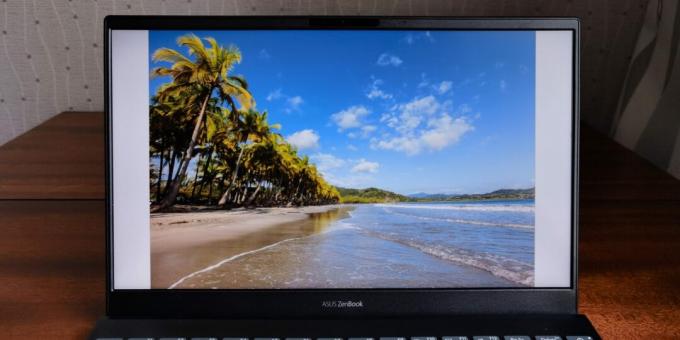 ASUS ZenBook 13 UX325-scherm
