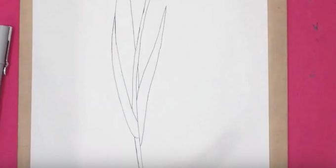 Hoe een tulp te tekenen: teken het juiste blad