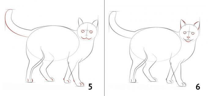 Hoe maak je een kat te tekenen